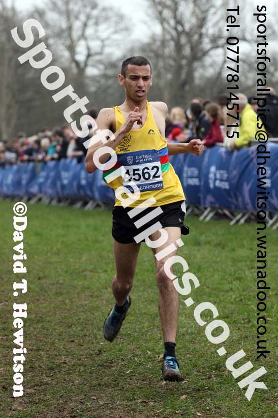Senior mens Inter Counties Cross Country, Prestwold Hall, Loughborough. Photo: David T. Hewitson/Sports for All Pics